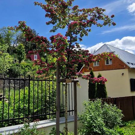 Siglisberg Villa Banska Stiavnica Ngoại thất bức ảnh