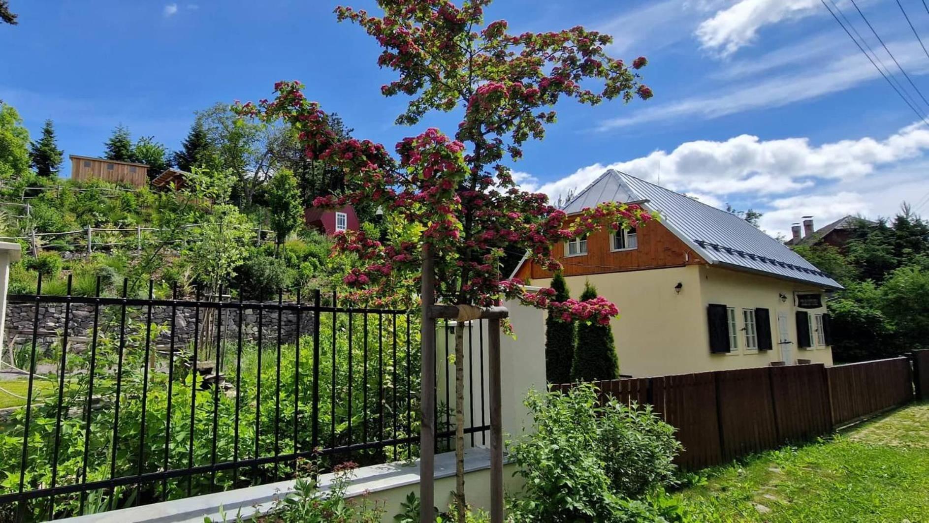 Siglisberg Villa Banska Stiavnica Ngoại thất bức ảnh